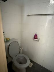 Birmingham Mansions (D11), Apartment #495681531
